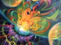 univers expolose