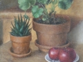petites640x82.JPG