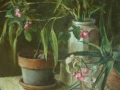 s2petites800P1030950.JPG