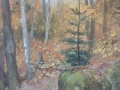 petites640x103.JPG