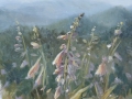 petites640x50.JPG
