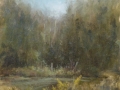 petites640x96.JPG
